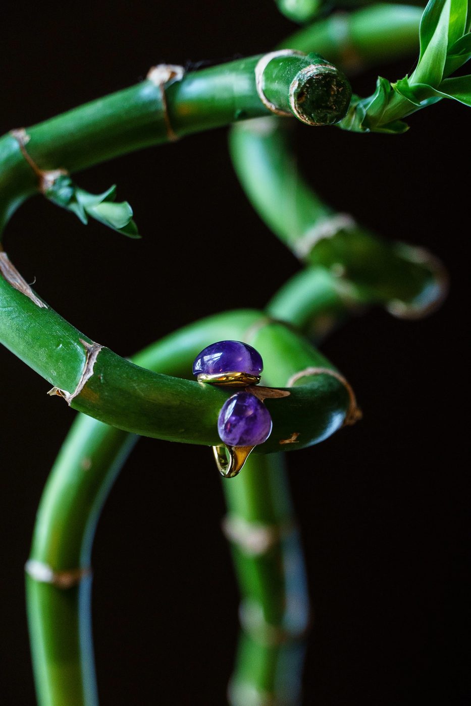 Jewelry — macro